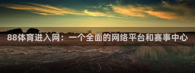 88体育进入网：一个全面的网络平台和赛事中心
