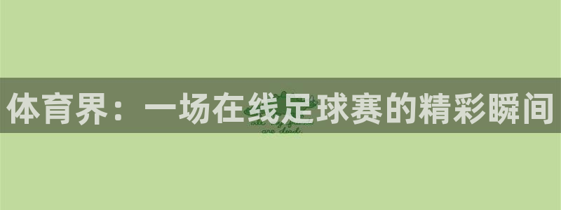 体育界：一场在线足球赛的精彩瞬间