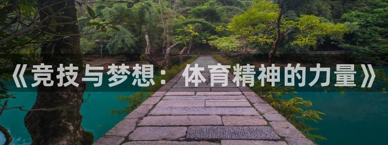 《竞技与梦想：体育精神的力量》